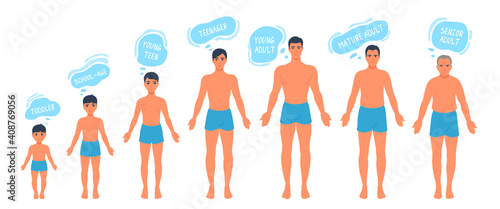 The human body aging process. A person aging, getting old. Man anatomy. Growth of people's bodies. A vector cartoon illustration.