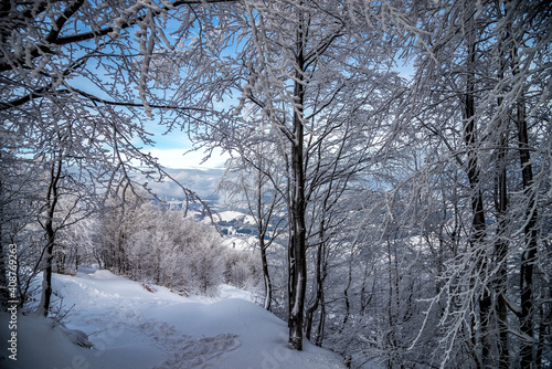 Winter landscape in mountains. Carpathian, Ukraine © nickolya