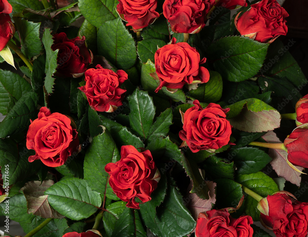 Red roses background. A bouquet of beautiful and selective roses. Rose as a symbol of love and beauty Red roses background. A bouquet of beautiful and selective roses. Rose as a symbol of love and beauty
