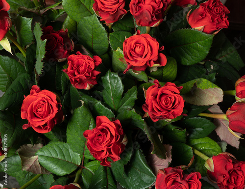 Red roses background. A bouquet of beautiful and selective roses. Rose as a symbol of love and beauty © yelantsevv
