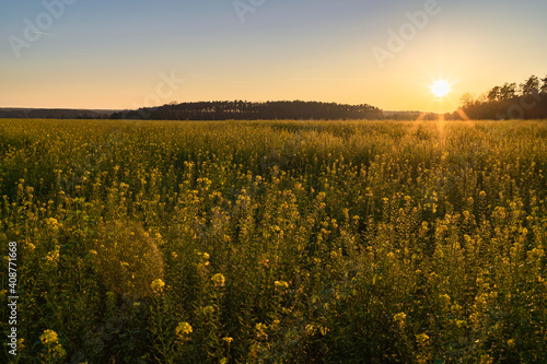 Sonne über einem Feld in Brandenburg, Deutschland.