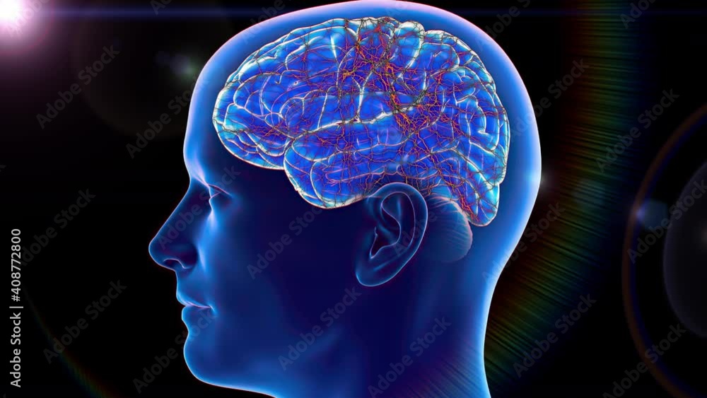 An abstract concept displaying the continuous brain activity in an overactive human mind - seamless looping. An abstract concept displaying the continuous brain activity in an overactive human mind - seamless looping.