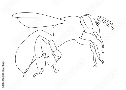 the Bee, wasp flying Continuous one line drawing