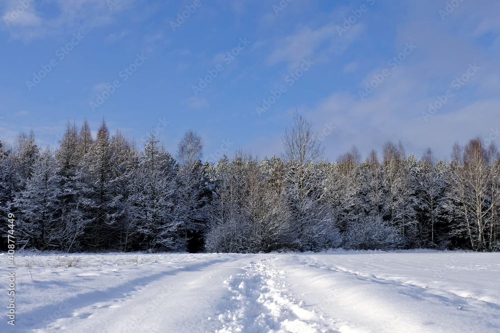 Snow-covered road to the forest. The trees were covered with snow. Winter in Poland. Snow-covered road to the forest. The trees were covered with snow. Winter in Poland.