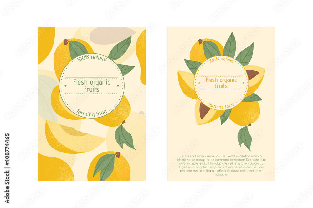 Ripe mango with leaves card template. Sweet mango fruits vector hand drawn poster design. Ripe mango with leaves card template. Sweet mango fruits vector hand drawn poster design.