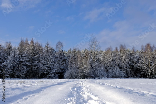 Snow-covered road to the forest. The trees were covered with snow. Winter in Poland. © Tomek