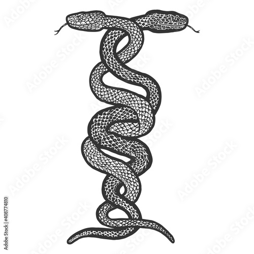 Intertwined two snakes. Engraving vector illustration. Sketch
