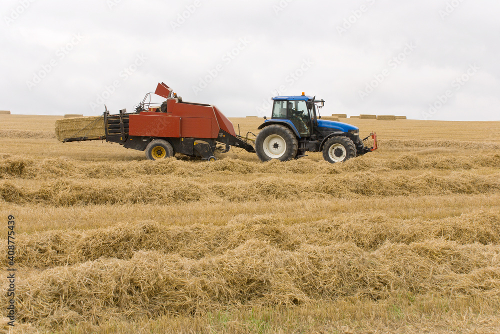 Fototapeta premium Harvest time in Wiltshire