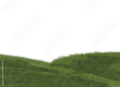 Green grass hills on a white background. Grass illustration for design