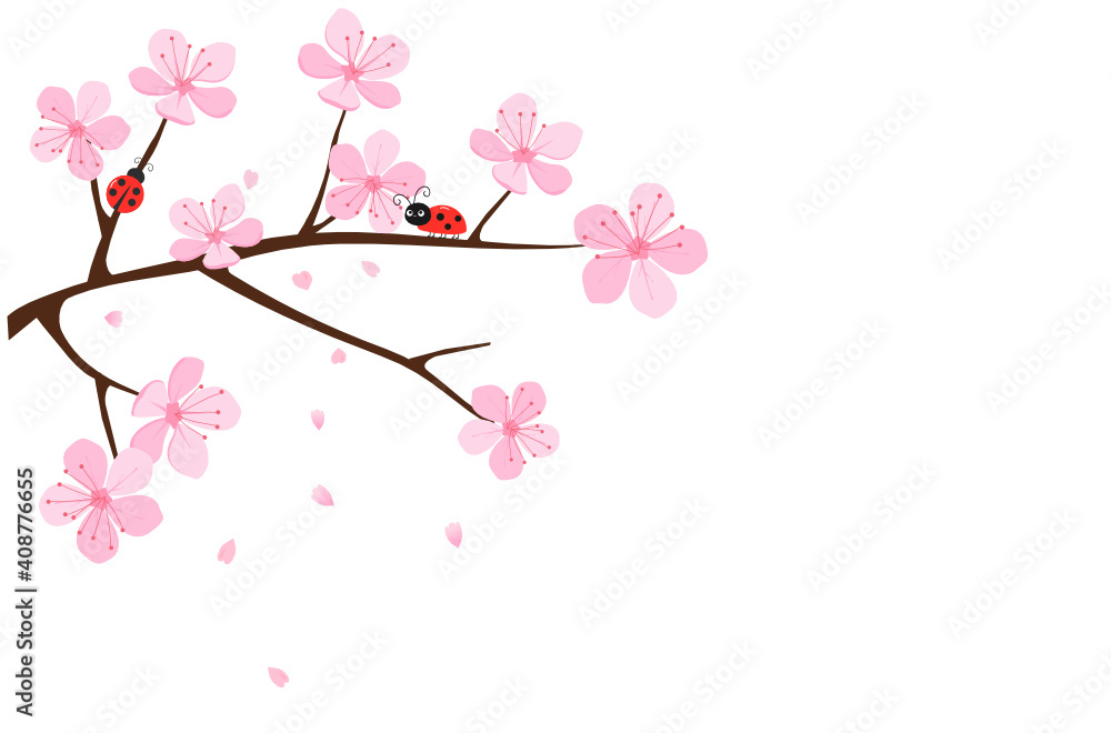 Fototapeta premium Cherry blossom branch and ladybug icon isolated on white background vector illustration. Cute spring wallpaper.