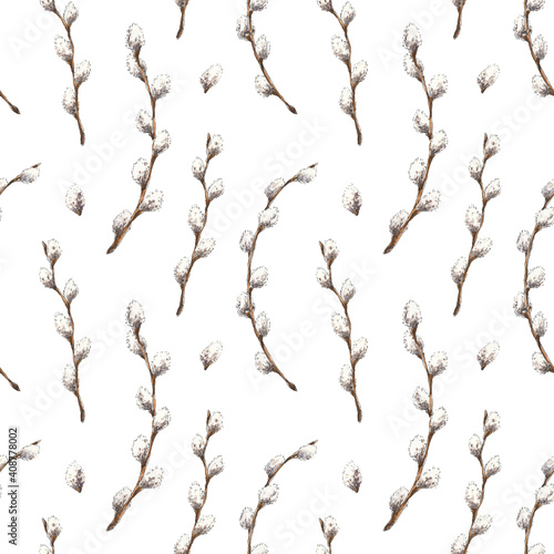 Fototapeta Naklejka Na Ścianę i Meble -  Spring willow branches watercolor botanical seamless pattern. Rowan floral, herbal background for wallpaper, gift wrapping paper, textile design.