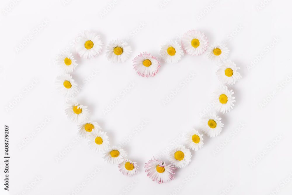 White daisies forming shape of a heart on white background
