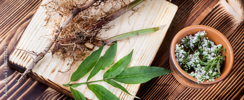 Bild auf Leinwand Valeriana roots, leaves and flowers close-up