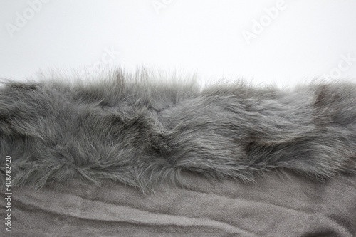 Texture grey fox fur, high pile. white Background