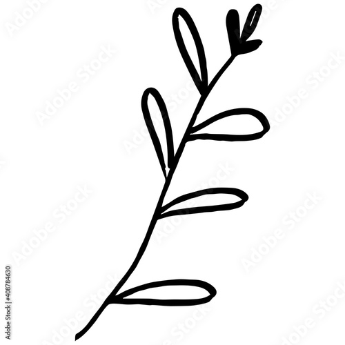 Small Branch Leaves vector line art.Decorative symbol, vector illustration. Bright decoration. Vector design.