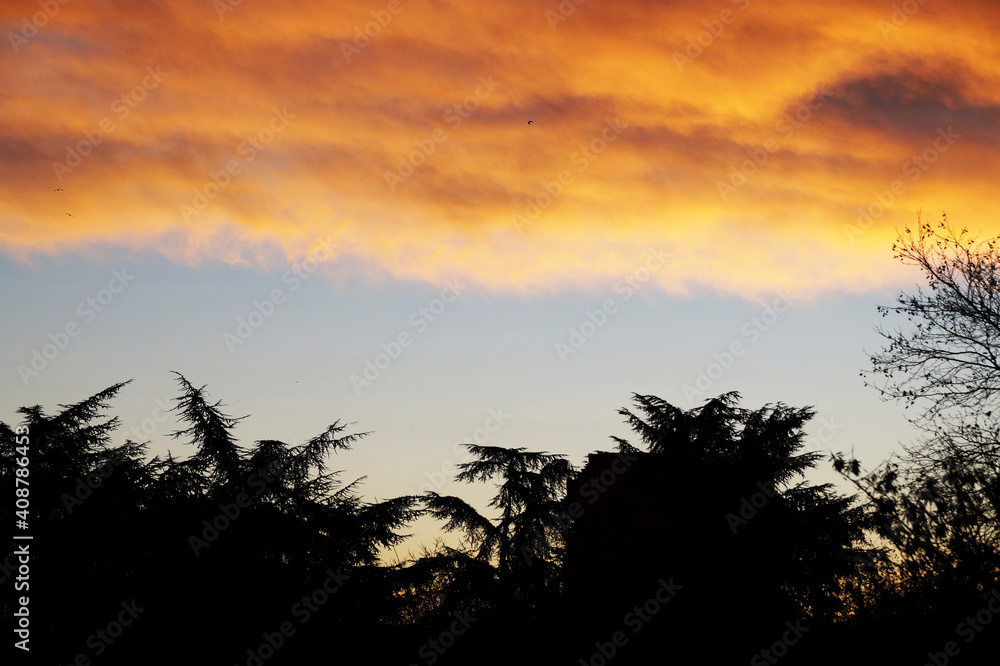 silhouette of trees against a background of heavy orange sunset clouds