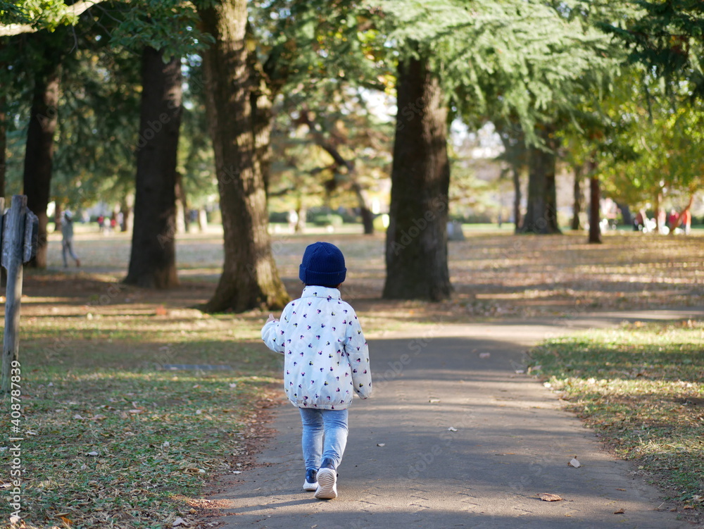 Fototapeta premium 紅葉する公園で散歩する幼児