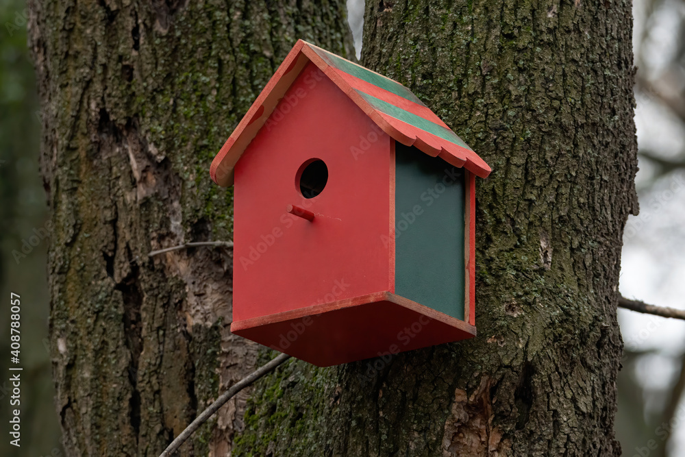 A house for the birds. Selective focus. A house for the birds. Selective focus.