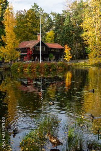 City park in the city of Falun  Dalarna  Sweded