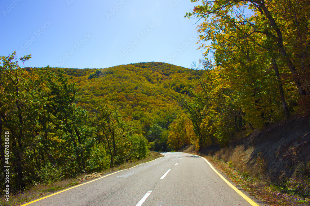 A beautifully stretching road in the forest. A beautifully stretching road in the forest.