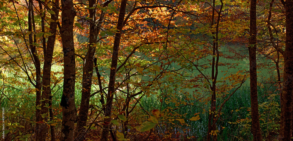 Fototapeta premium A beautiful lake high in the mountains.