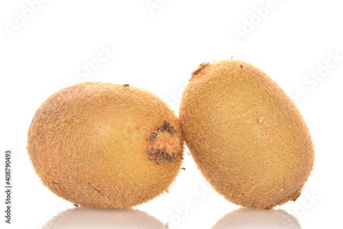 Two fresh organic kiwi fruits, close-up, isolated on white.