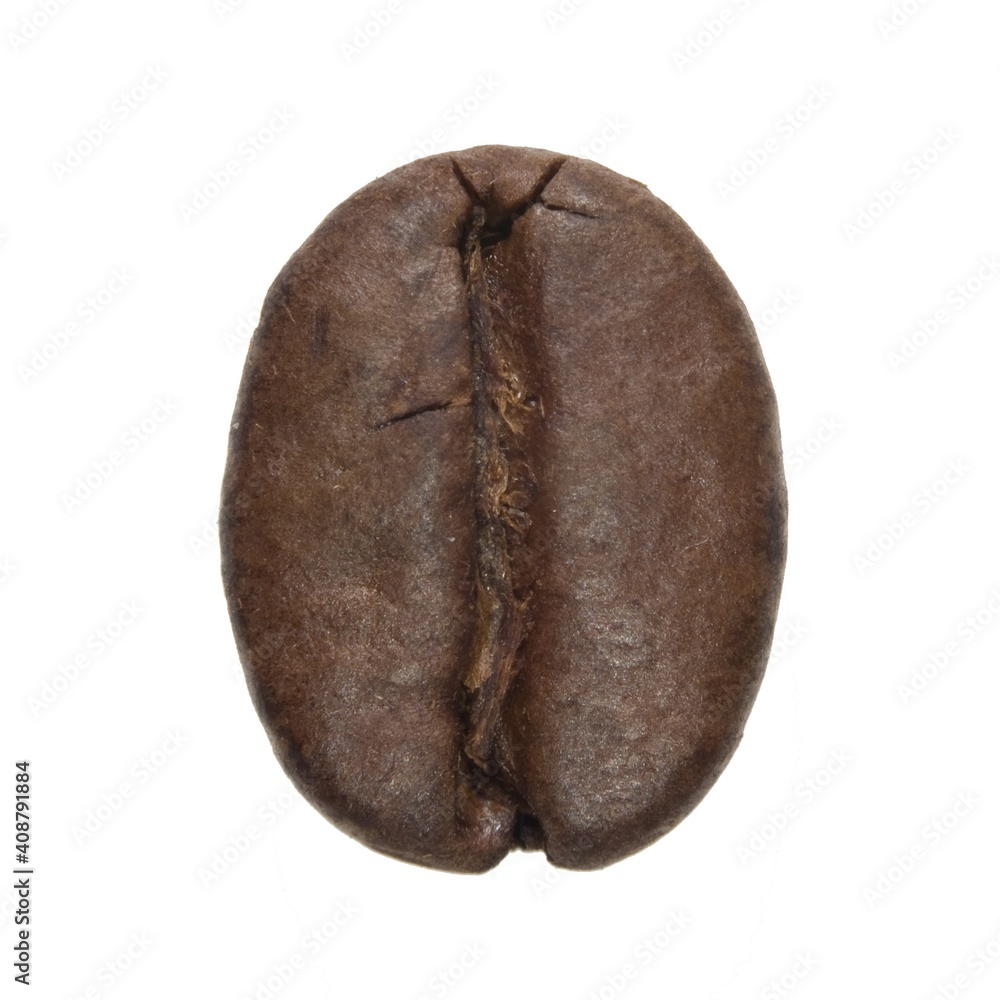Naklejka premium Coffee bean
