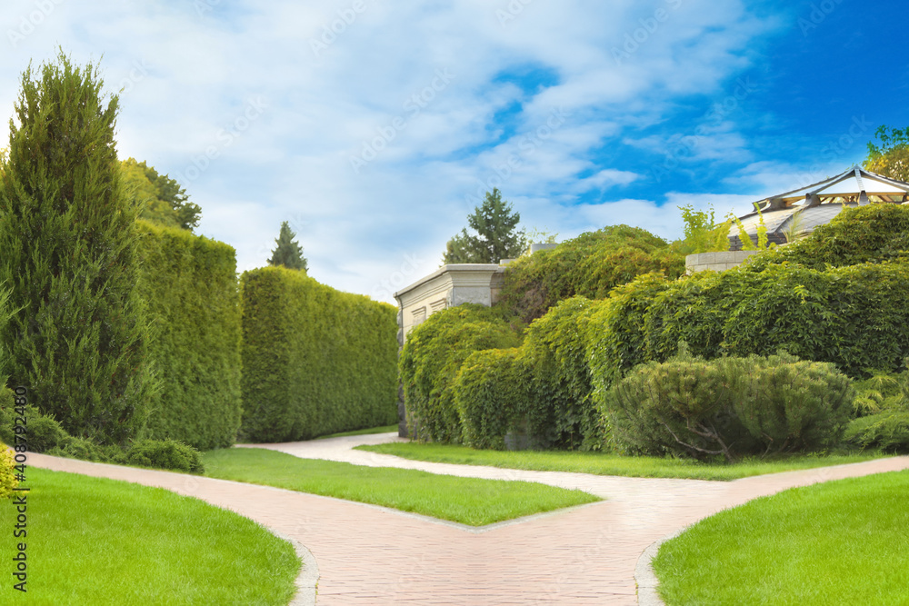 Fototapeta premium Choosing way. Brick path in garden on sunny day
