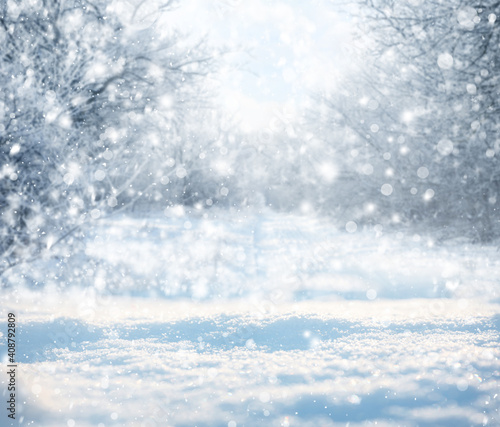 Beautiful fluffy snow in forest. Winter season