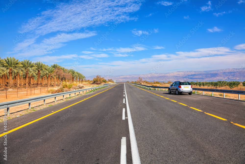 Fototapeta premium Date palm trees plantations. Israel agriculture. Highway along the Dead Sea coast on the Jordan border. Middle East 