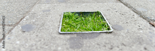 Photos Concrete square vegetation 2