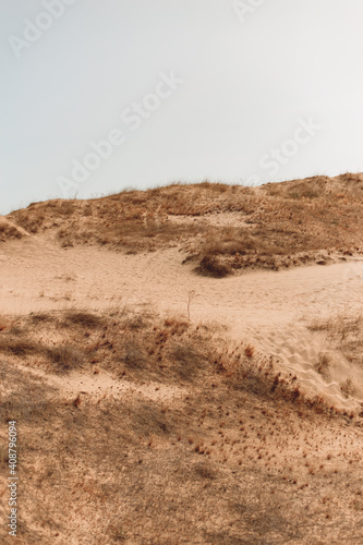 Desert landscape, dry grass and yellow sand