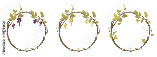 Grapevine - vector illustration. Design elements with a twisting vine with leaves and berries. Freehand drawing in watercolor style. Round frame with vine.