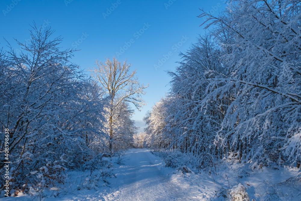 Fototapeta premium View along a forest path in a snow-covered winter landscape in the Taunus / Germany