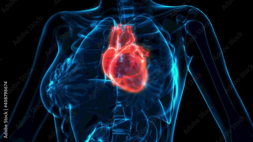 human heart illness xray view, cg medical 3D animation human heart illness xray view, cg medical 3D animation
