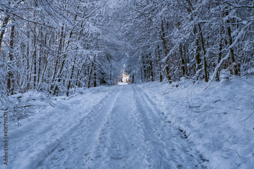 View along a snow-covered forest path in the Taunus / Germany 