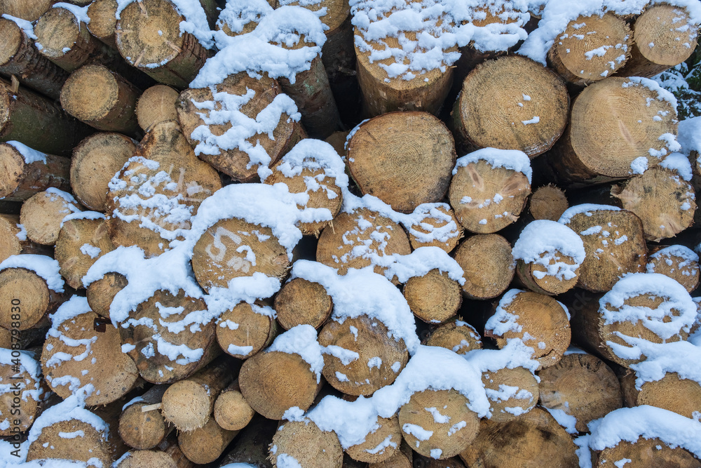 Front view of a pile of wood covered with snow in the forest in Taunus / Germany Front view of a pile of wood covered with snow in the forest in Taunus / Germany