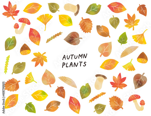 カジュアルなタッチ　秋の落ち葉やキノコのイラストセット
