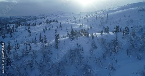 Epic drone aerial footage of mountains in Norway. Forest covered with snow. Blue hour in winter time.