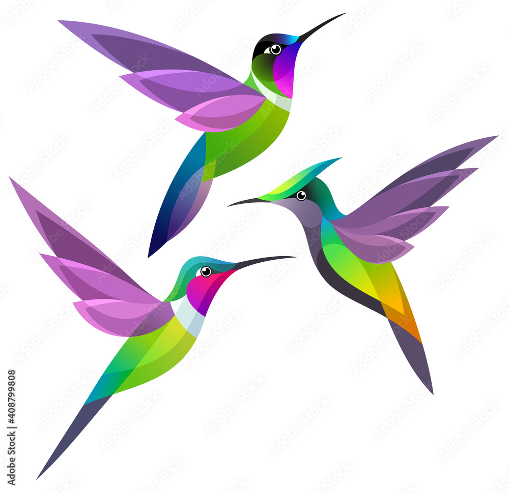 Obraz premium Stylized Hummingbirds in flight 