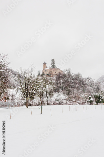 Arlesheim, Schloss Birseck, Burg, Ermitage, Dorf, Wanderweg, Wald, Schnee, Schneedecke, Baselland, Birstal, Birseck, Winter, Schweiz photo