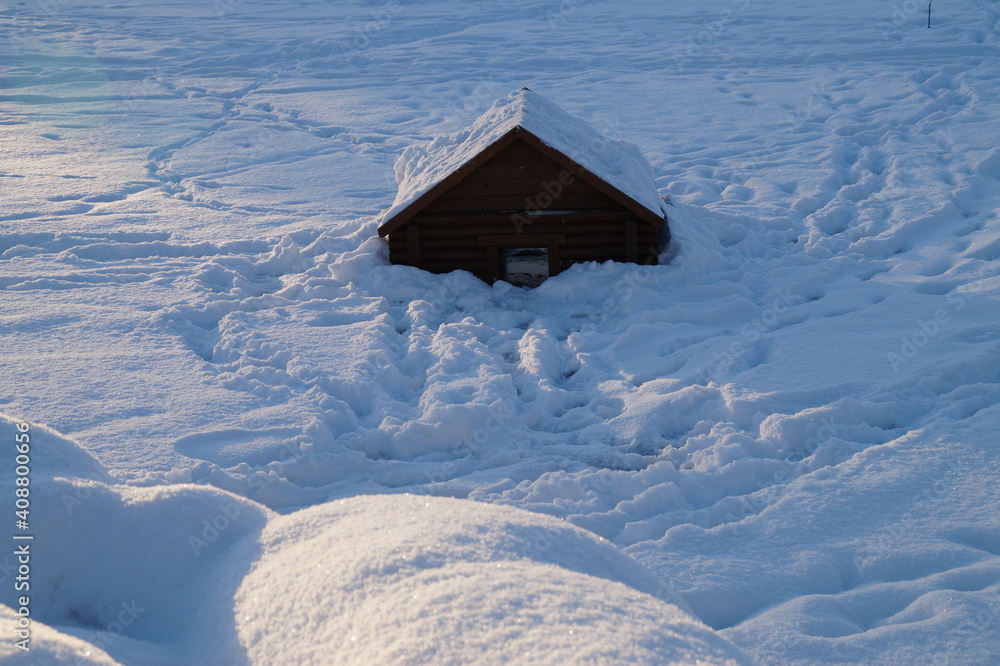 Fototapeta premium house in the snow