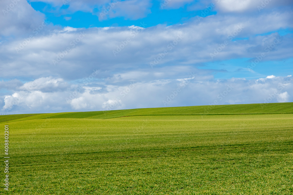 Paysage de campagne, champ vert et ciel bleu Paysage de campagne, champ vert et ciel bleu