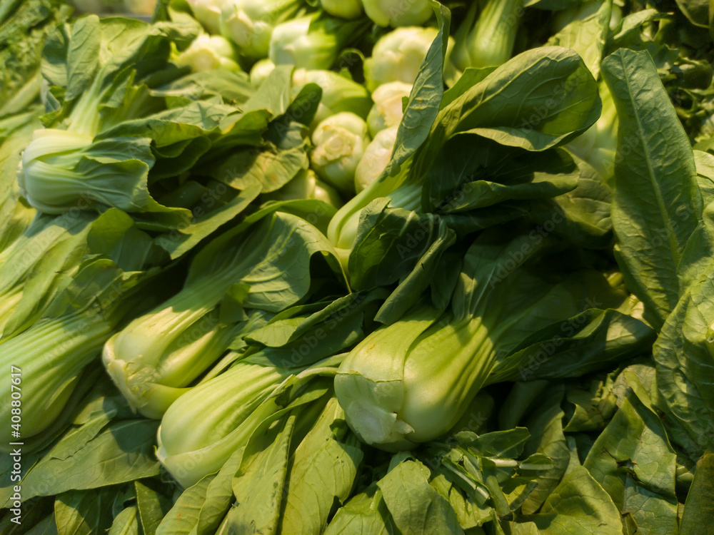 Obraz premium Group of green salad vegetables on a store shelf 