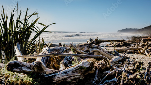 driftwood