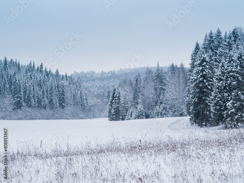 Snow-covered meadows and forest in the valley of the Stone Hill park on a frosty winter day. Beautiful landscape with conifer forest on snowy cloudy day. Frozen nature in fantastic white forest.