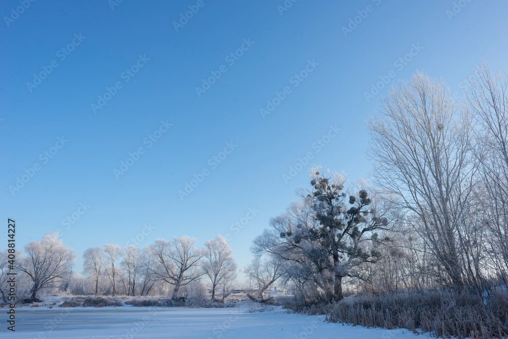Landscape With Snowy Trees. Frozen Lake.