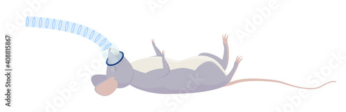 Rat or gray  mouse  with inhalation anesthesia, medical surgery operation concept. Veterinary cartoon illustration. Noninvasive lung ventilation