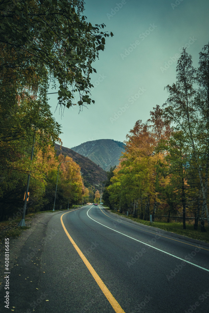 Obraz premium The road leading to the mountains among autumn trees and yellow foliage