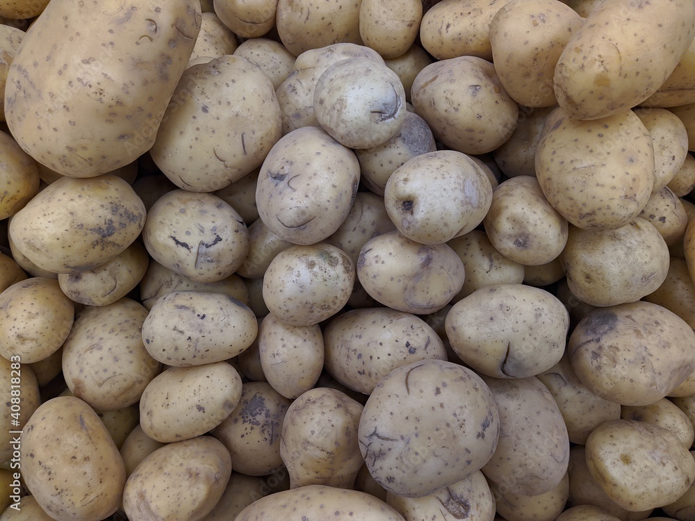 lot of potatoes in the market closeup photo lot of potatoes in the market closeup photo